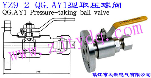 YZ9-2 QG.AY1型取壓球閥YZ9-2 QG.AY1 Pressure-taking Ball Valve